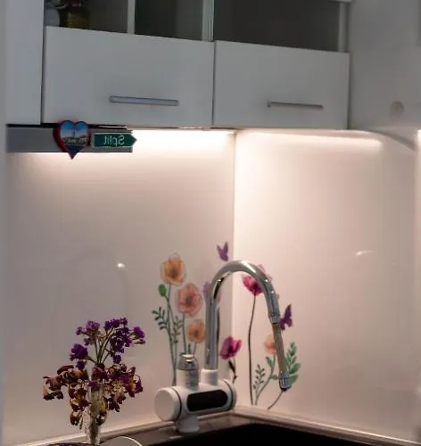Apartamento Mana 5